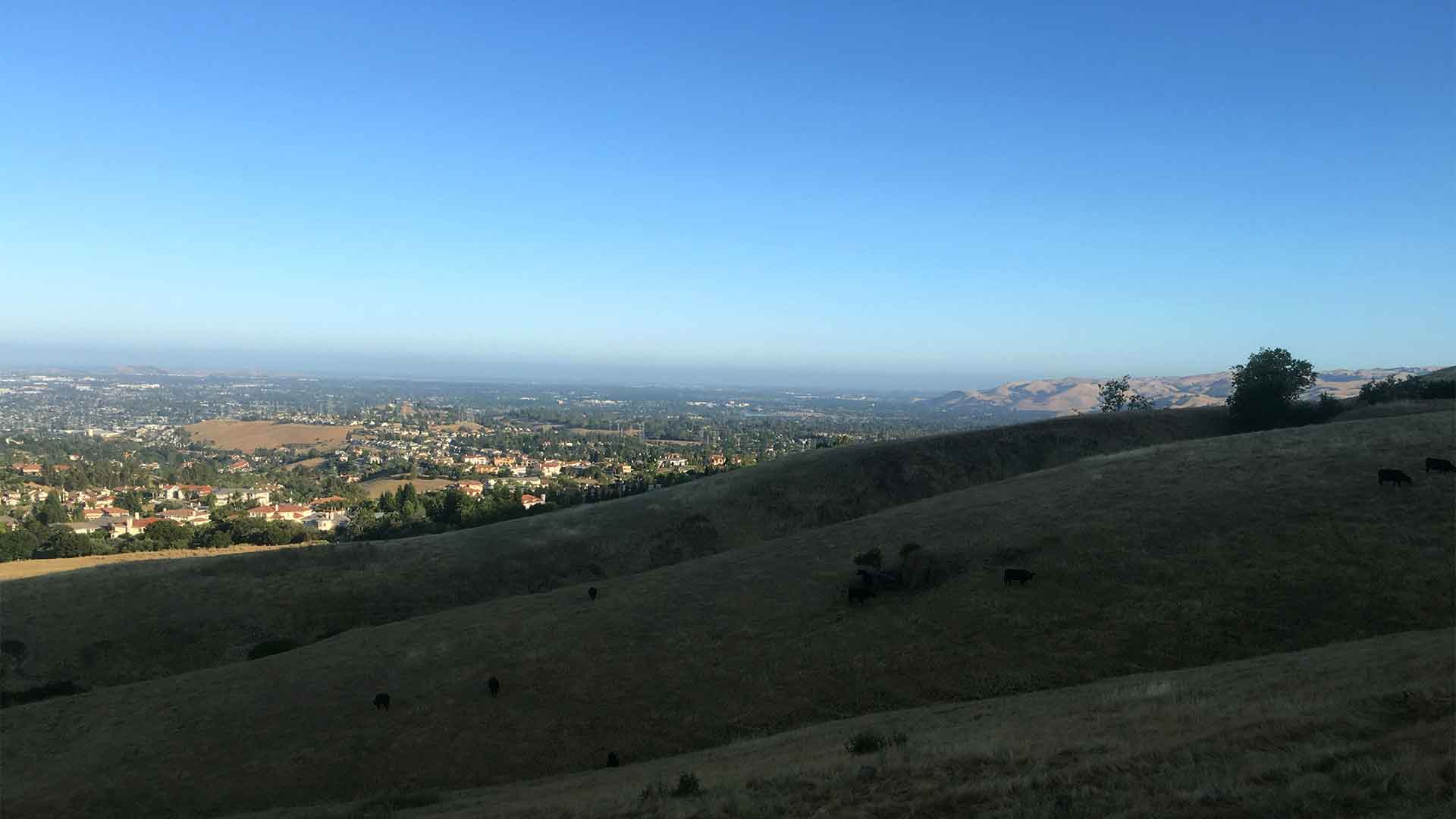 Photos from To Mission Peak 8