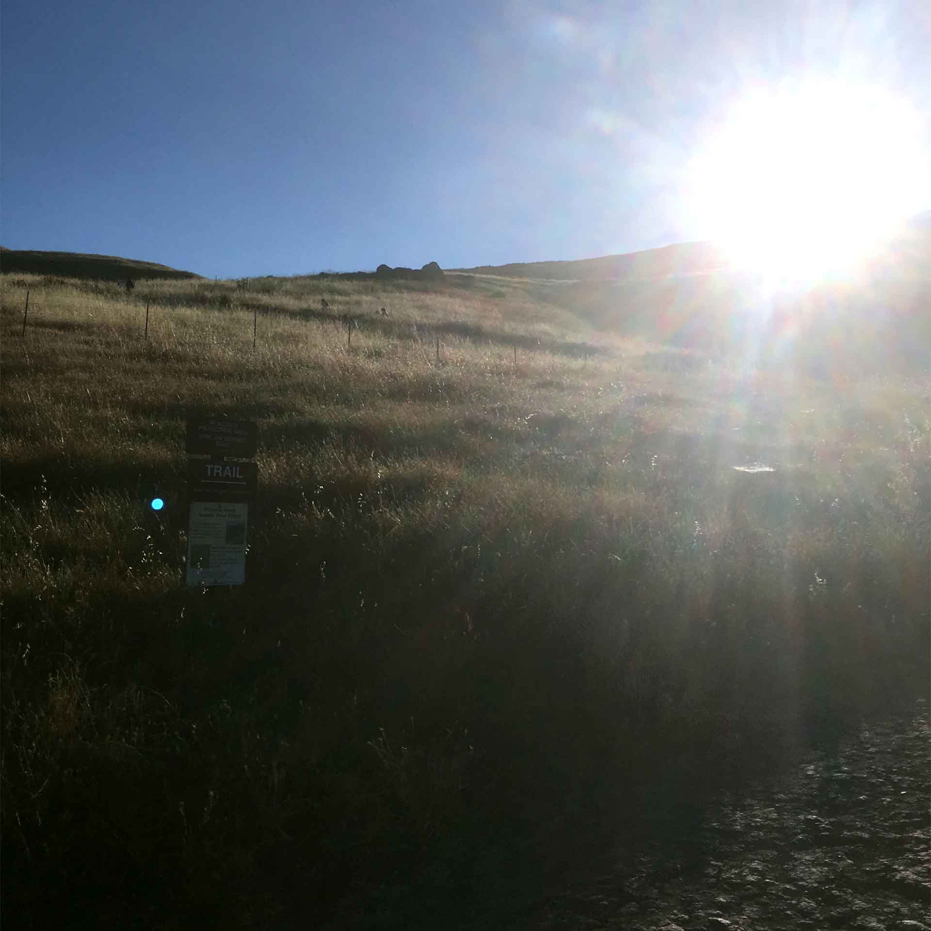 Photos from To Mission Peak 13