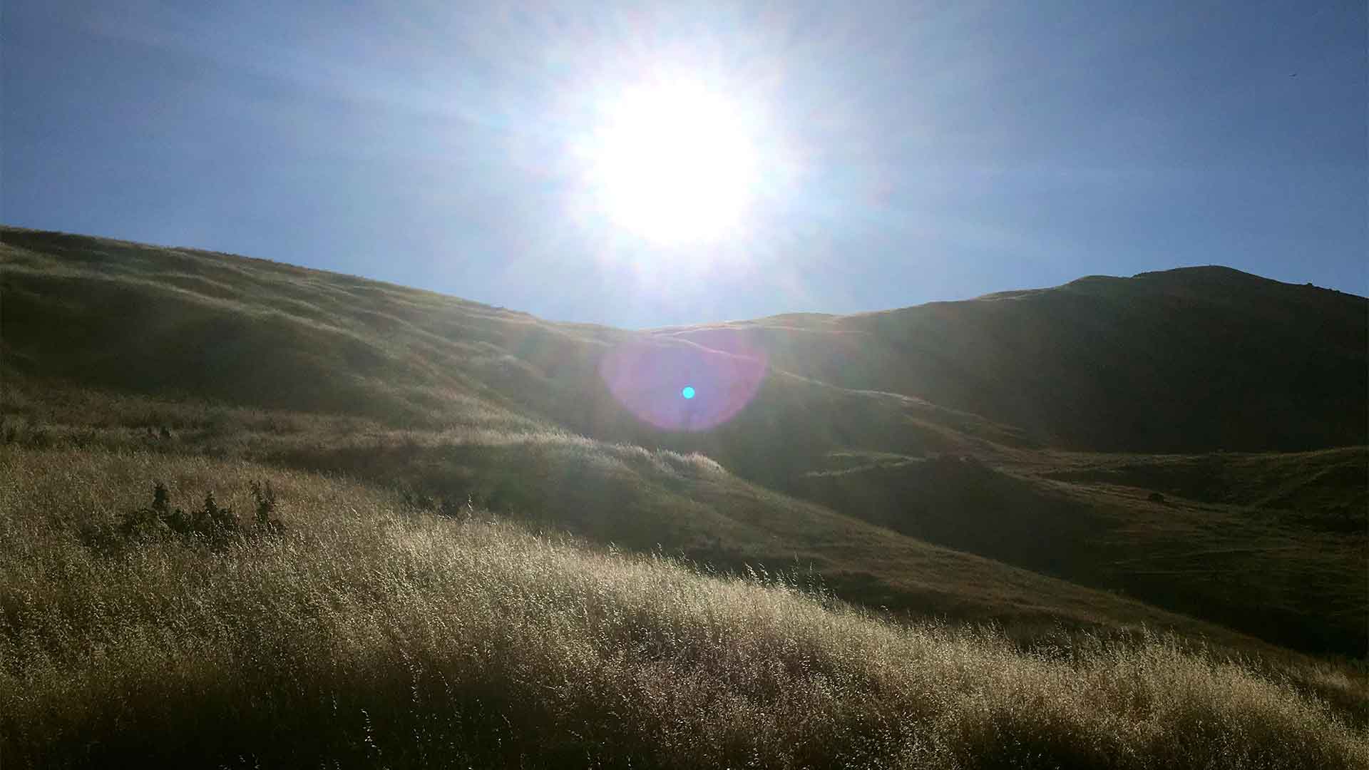 Photos from To Mission Peak 14
